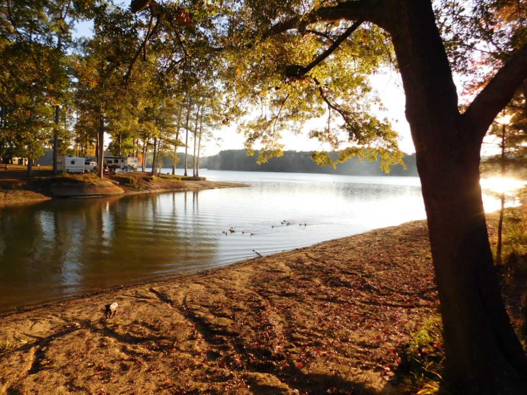 Wind Creek State Park Alexander City, AL PipesTraveler